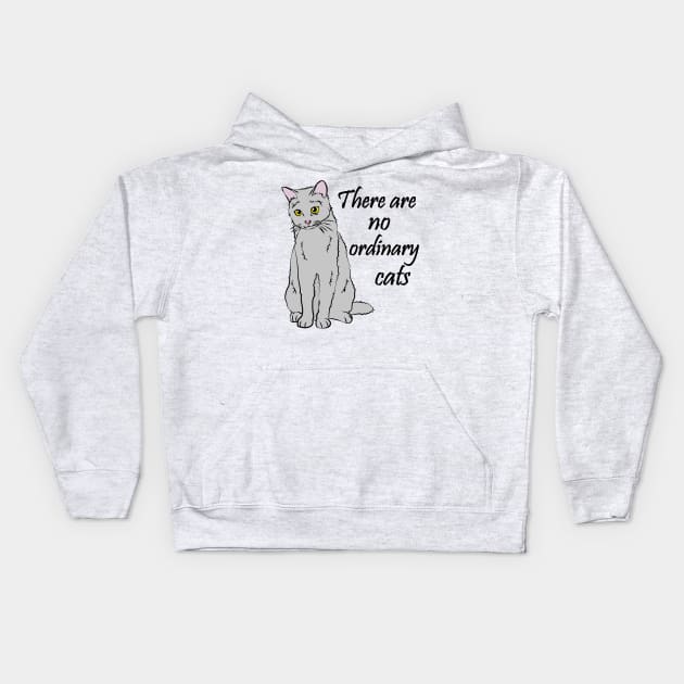 There Are No Ordinary Cats Kids Hoodie by TheInkElephant
